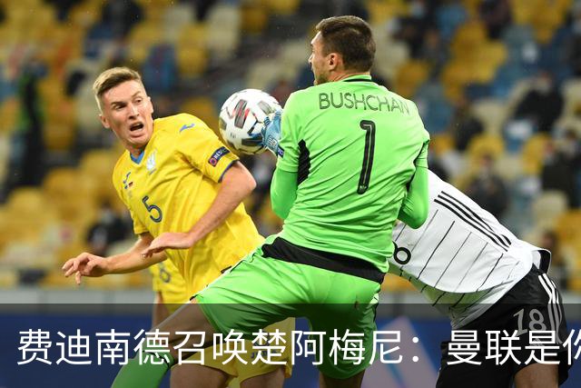 费迪南德召唤楚阿梅尼：曼联是你的唯一归宿，想成事的话就来吧！